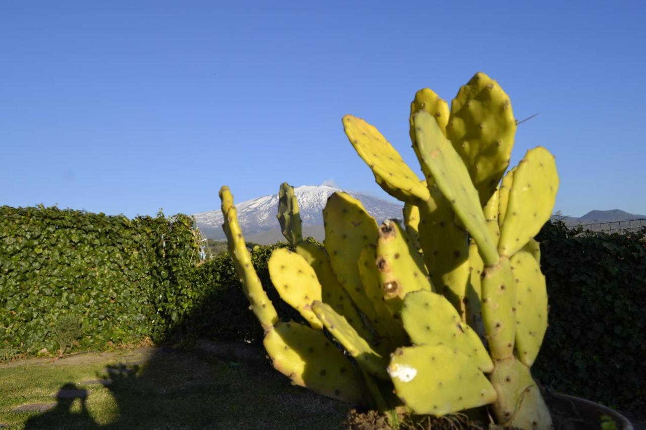 Bed and Breakfast Good Morning Etna Bronte Zewnętrze zdjęcie