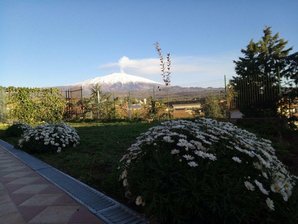 Bed and Breakfast Good Morning Etna Bronte Zewnętrze zdjęcie